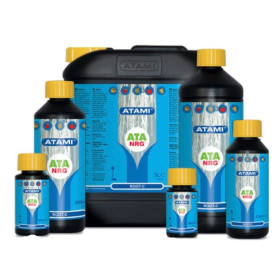 ROOT C ATA NRG