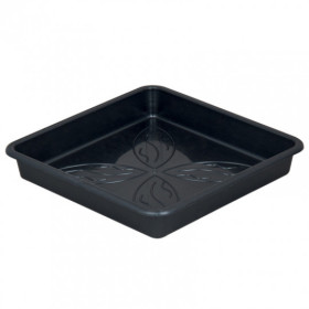 SQUARE PLATE