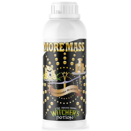 MORE MASS