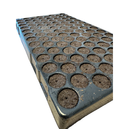 BANDEJA PLUG TRAY 104 EASY CLONE