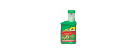 INSECTICIDES